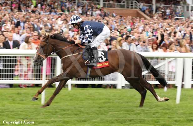 Dreamwriter gets off to a perfect start at Newbury - August 2011